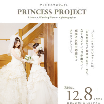 PRINSESS PROJECT